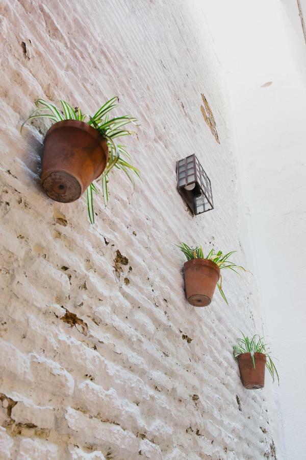 La Accesoria Del Arenal Apartment Seville Exterior photo